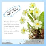 SADOER Evening Primrose Vitamin E Cleansing Milk 100g - Image 2