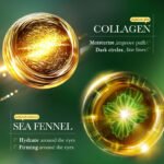 SADOER Sea Fennel Collagen Nourishing Eye Mask 7.5g - Image 2